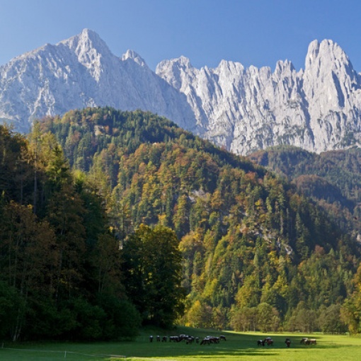 Photo gallery “Mountains”